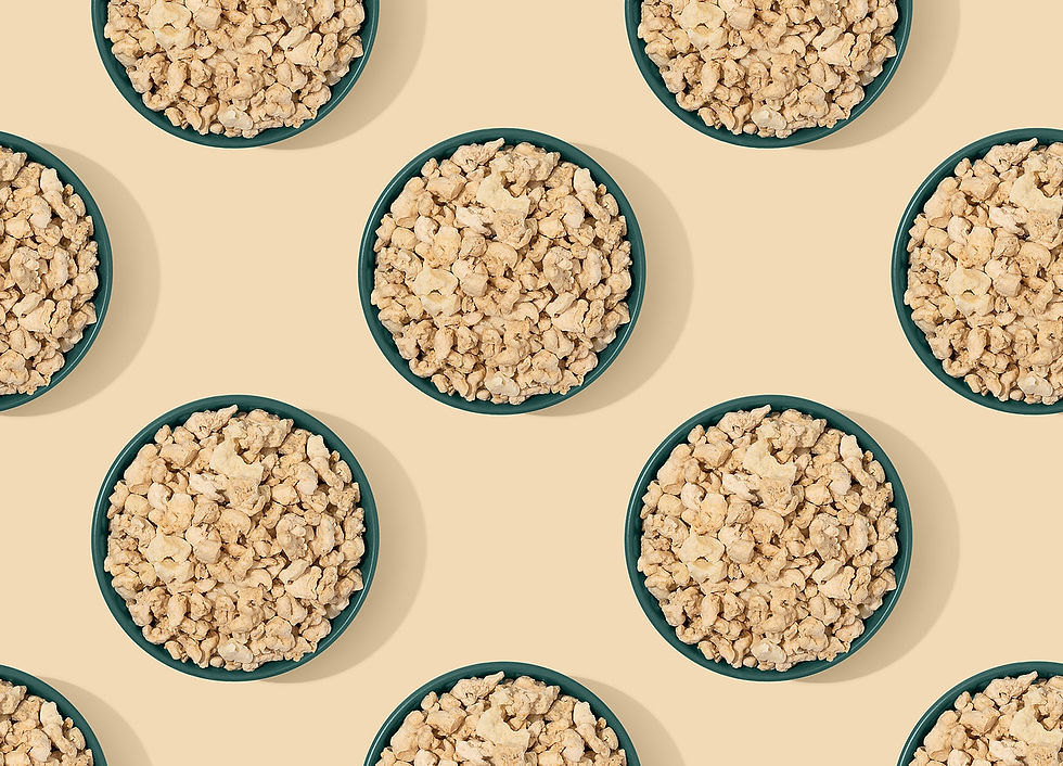 Start-up of the month: Happy Plant Protein