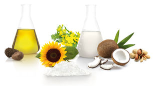 Protecting all that’s good: Natural tocopherols in fats and oils