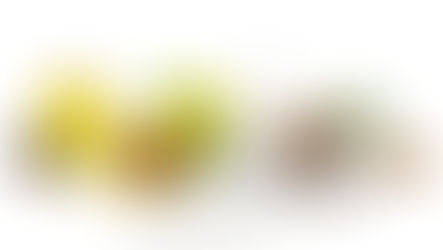 Protecting all that’s good: Natural tocopherols in fats and oils