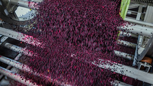 Suntory invests £14.5m in UK blackcurrant processing facility