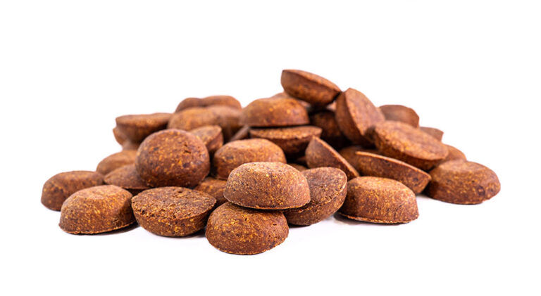 BeneMeat launches EU pet food trial for cultivated meat dog treats