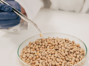 Fungu’it raises €4m to scale up fungi-based natural flavour production