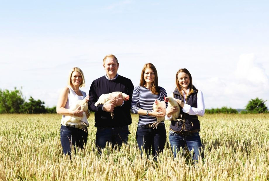 Aldi commits £1.1bn to UK egg supply in five-year farmer deal