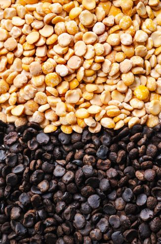 Start-up spotlight: Koppie