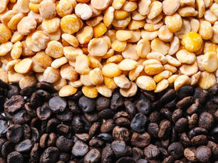 Belgian start-up Koppie secures funding to launch fermented coffee alternative
