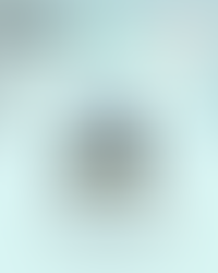 Finstreet - Cement Sector