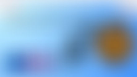 SBI approaches RBI to cap NBFC lender base