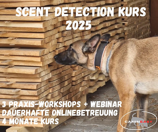 Scent Detection Workshop-2.jpg