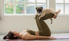 The Best Guide to Blissful Puppy Yoga and Top Destinations in the USA