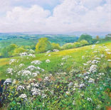 Cow Parsley from The Old Chapel.jpeg