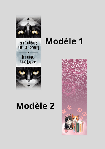 Petite Partie Chat Caché ... Little Hidden Cat Part