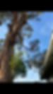 IMG_1624.PNG