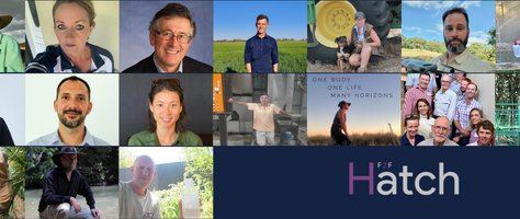 Announcing our latest Hatch cohort