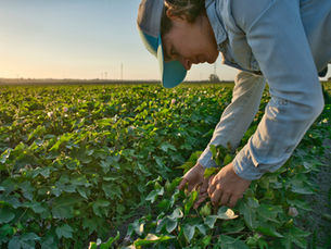 Proven and expanding: Farmers2Founders wins $2.985M Future Drought Fund grant to scale F2F TEKFARM®