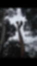 IMG_1234.PNG