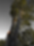 ChatGPT Image May 11, 2026, 11_19_49 AM.png