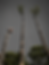 ChatGPT Image May 11, 2026, 11_22_15 AM.png