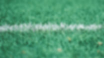 Turf field