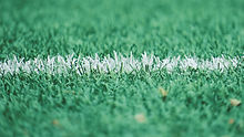 Turf field