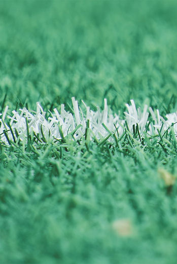 Turf field