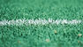 Turf field