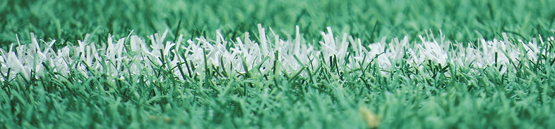 campo Turf