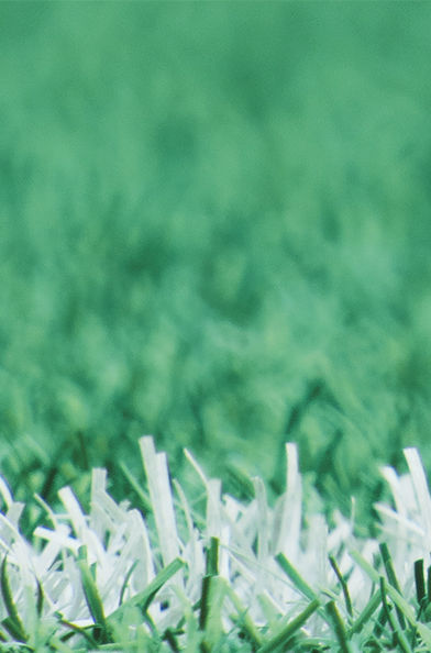 Turf field