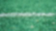 Turf field