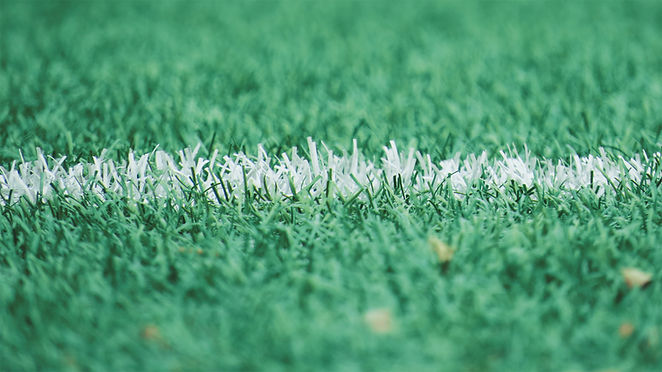 Turf field