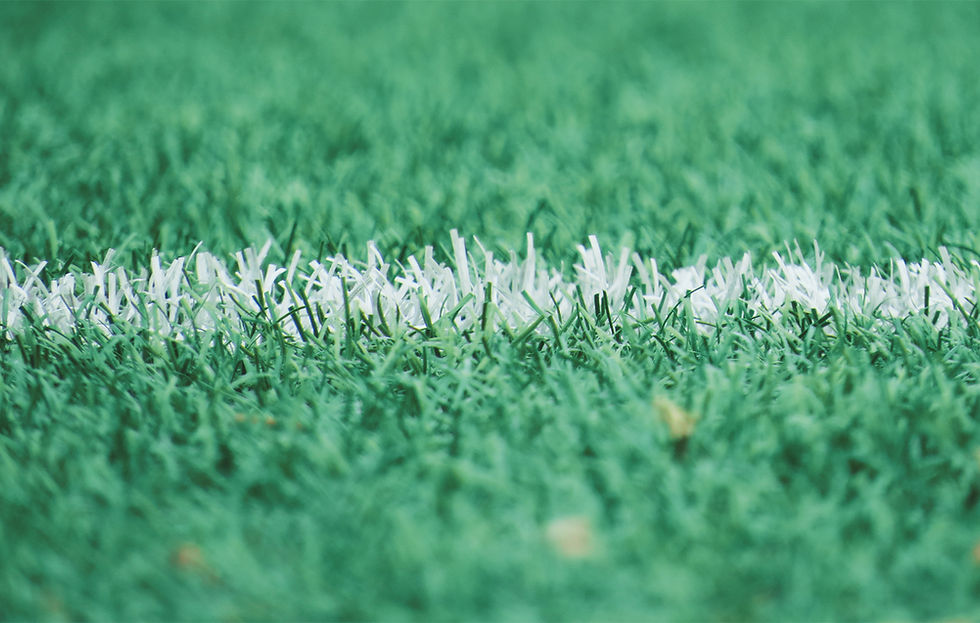 Turf field