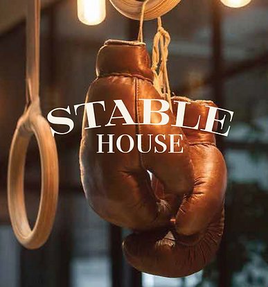 Stable House hanging gloves.png