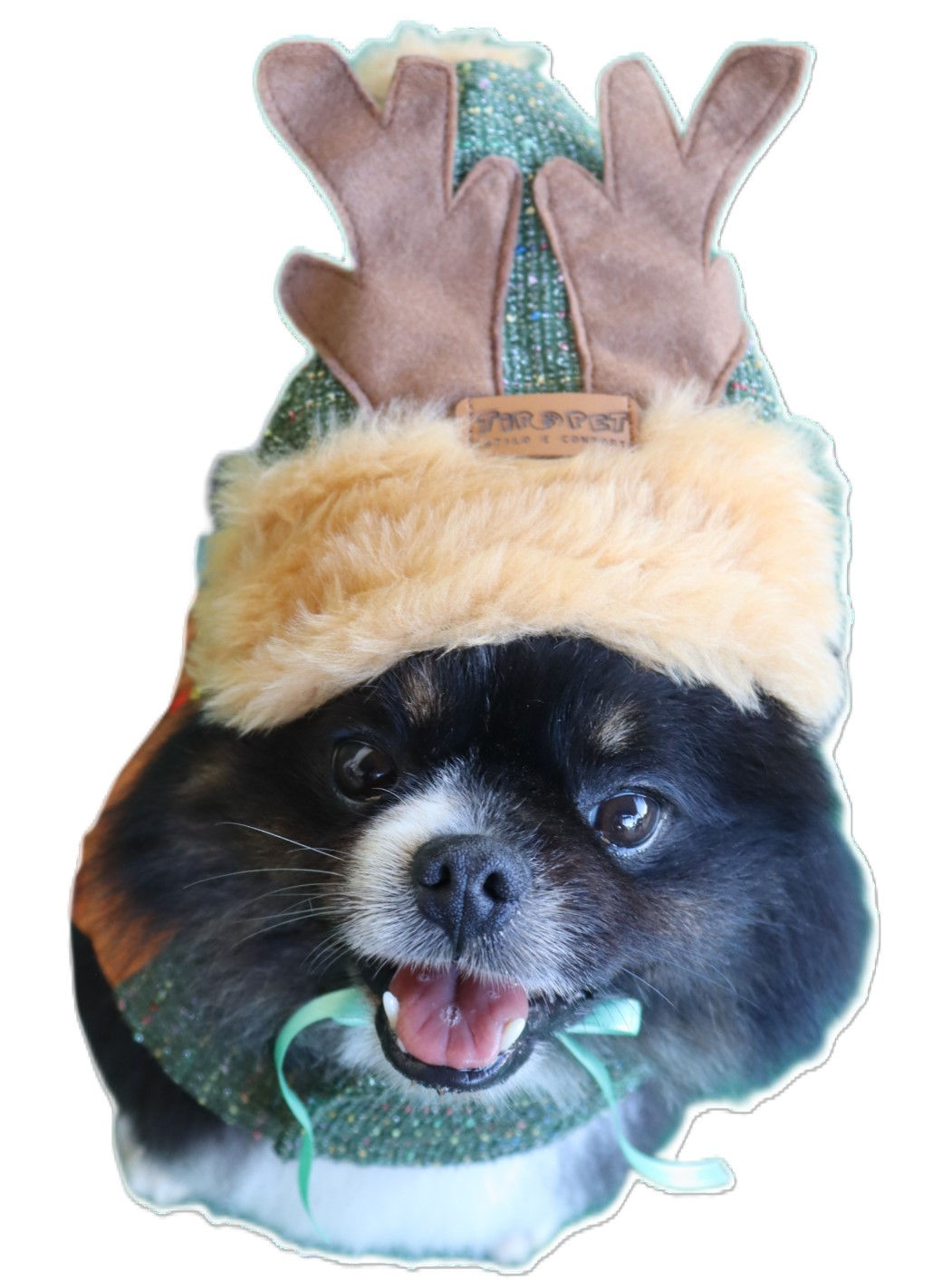 Gorro Pisca Pisca Natalino