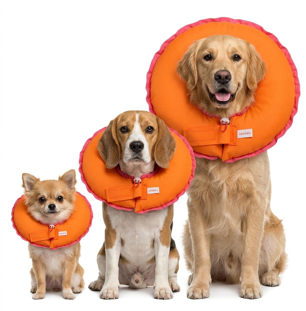 COLAR ELEZABETANO AJUSTÁVEL