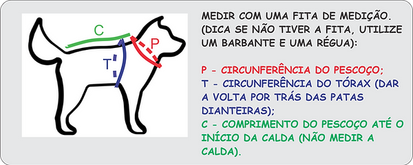 Dica de como pedir seu pet.