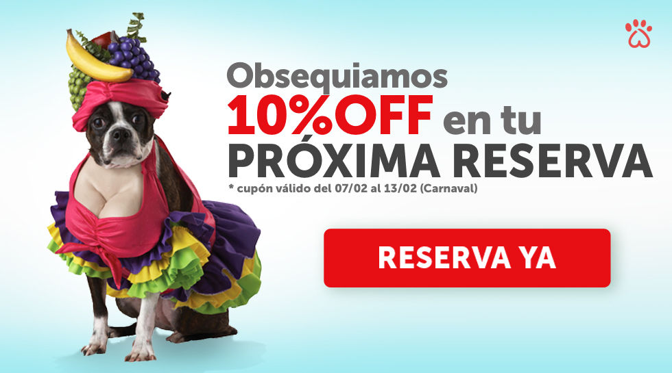 Publicidad/Cupón promocional Carnaval