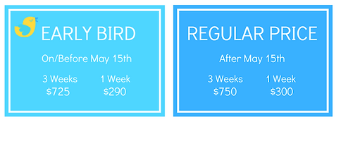 Summer Intensive Rate Icons (2).png