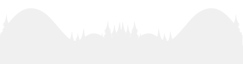 why-choose-us-bg (1).png