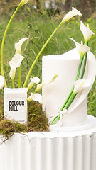 Colour Mill White Fondant, Colour Mill White Decorators Dough, white fondant, dye-free fondant, colour mill, fondant