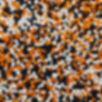 NONPAREILS
