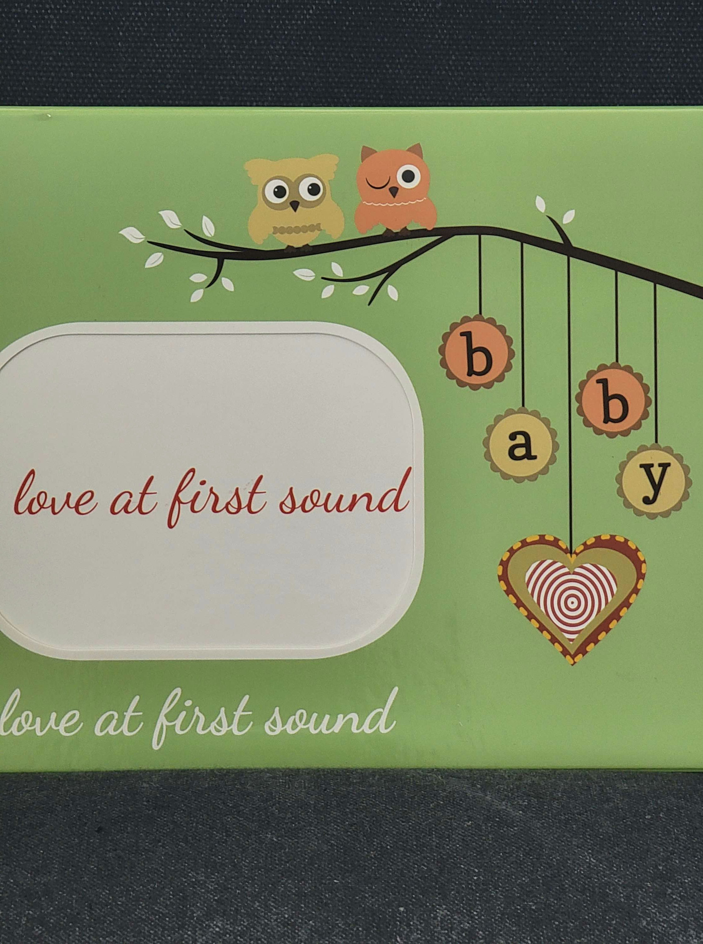 Audible Ultrasound Frame