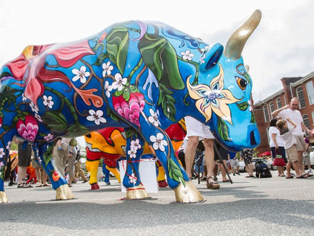 Expressing art through cows (not real ones)