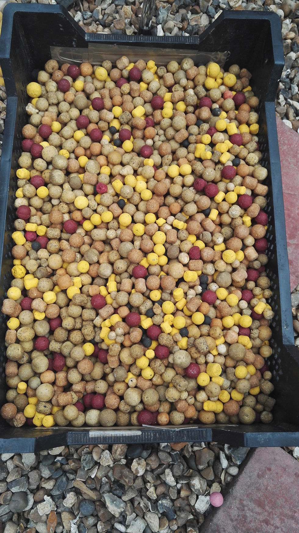 ASSORTED FROZEN BOILIES