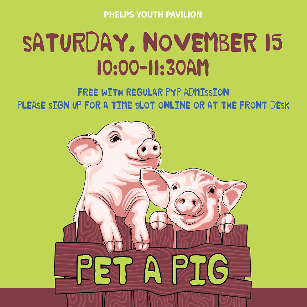 Pet A Pig!