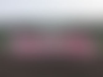 第40回記念 全道中学生軟式野球大会