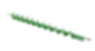 125894S  Auger