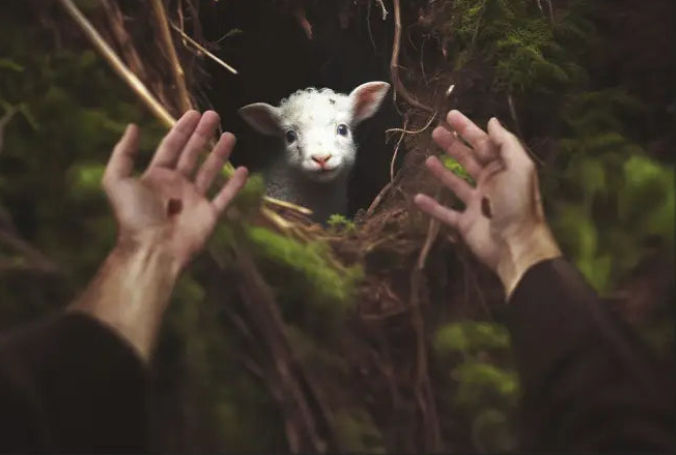 Spiritual & Mental Health First aide Guide