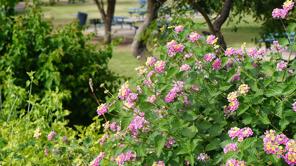DSC00152.JPG