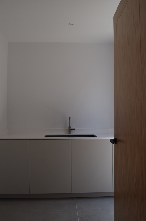 Minimalist kitchen with sink and closed wooden door.