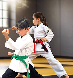 Martial Arts Form - Boy and Girl