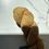 Thumbnail: Woolfolk Sno